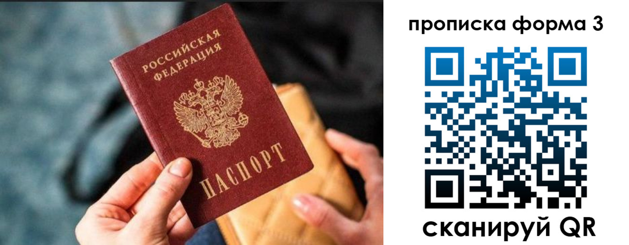прописка гарантия в Ярославле